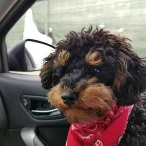 Meet your Posher, Julia